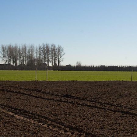 'Op de Borgt' met Finse Grill Kota Villa Wellen Buitenkant foto