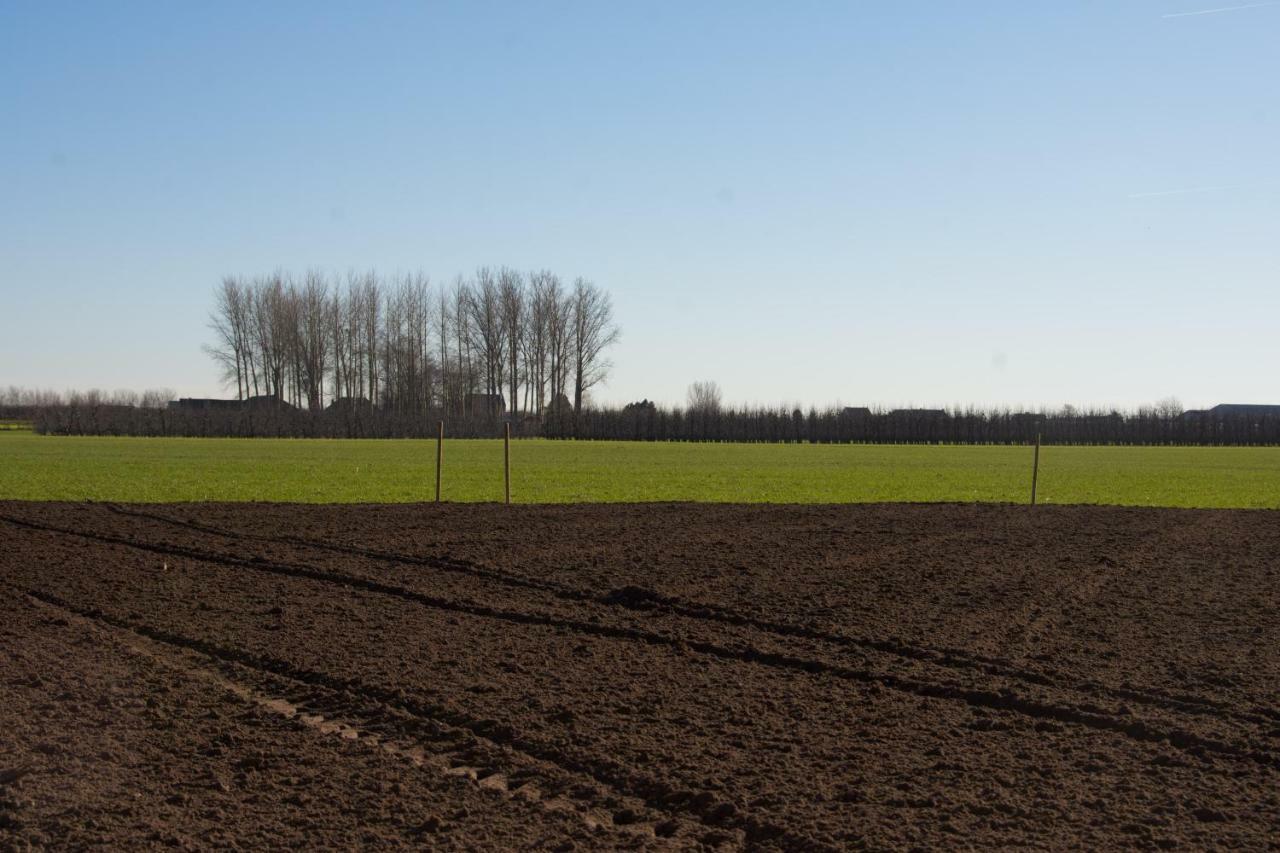 'Op de Borgt' met Finse Grill Kota Villa Wellen Buitenkant foto