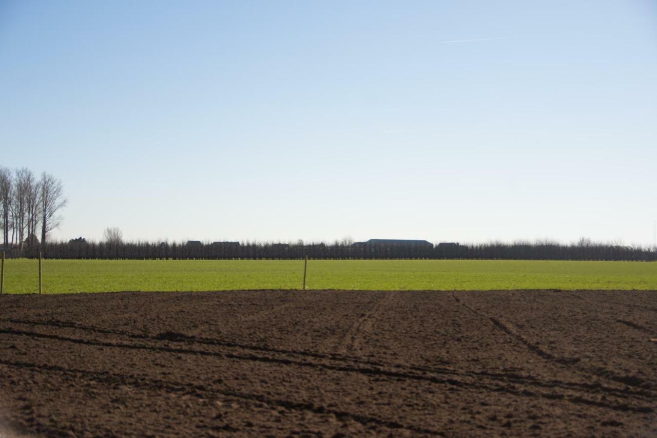 'Op de Borgt' met Finse Grill Kota Villa Wellen Buitenkant foto